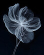 X - ray of an intricately detailed delicate alien blossom.