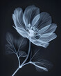 X - ray of an intricately detailed delicate alien blossom.