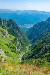 Wall Mural - Summer day at Caraiman valley leading to Bucegi mountains near Busteni village in Romania