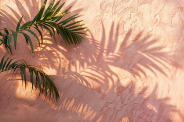 Poster - Palm leaf shadows on textured pink wall. Home decor and interior design concept with copy space. High quality photo