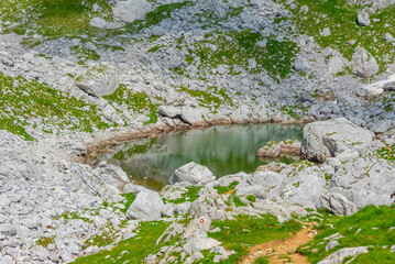 Poster - Glacial lake at Durmitor National park dominated by Bobotuv Kuk mountain, Montenegro