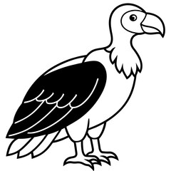 Sticker - condor line art vector