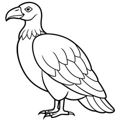 Sticker - condor line art vector