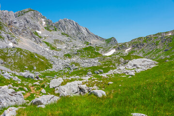 Wall Mural - Panorama of Durmitor National park dominated by Bobotuv Kuk mountain, Montenegro