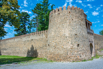 Wall Mural - Telavi fortress and King Erekle II Palace in telavi, Georgia