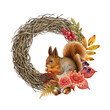 Autumn floral festive vine wreath with squirrel. Vintage style painted illustration. Hand drawn rustic style wreath with autumn leaves, berries and red squirrel decor. White background