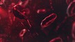 Septicemia or sepsis. The clinical name for blood poisoning by bacteria. It is the body most extreme response to an infection