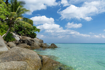 Poster - Sunny vacation landscape of sea, palms and stones