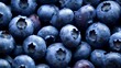 Fresh blueberries with water drops close up. Healthy food background.