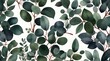 Watercolor eucalyptus round leaves and branches set .Generative AI