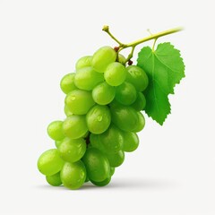 Poster - bunch of green grapes