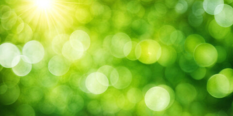 Poster - Sunny green foliage bokeh background