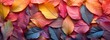 Vibrant autumn leaves in a colorful arrangement, wide banner background, wallpaper