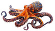 Octopus in painted  on canvas Isolated on white background.