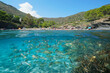 Mediterranean sea beach coastline with tourist in Spain and fish underwater, natural scene, split view over and under water surface, Costa Brava, Catalonia, Roses, Cala Calitjas