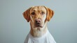 Casual and cool adult canine in a plain white t-shirt  AI generated illustration