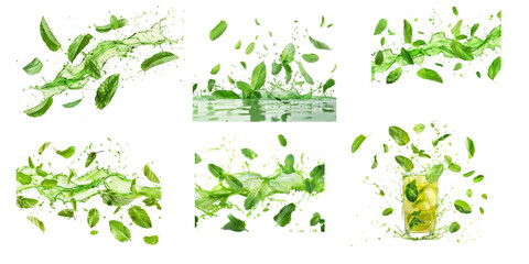 Wall Mural - Mint leaves splashing in green juice isolated on a white background 