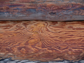 Wall Mural - a full frame brown wood grain surface