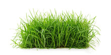 Green Grass Cut Out Field Transparent Background Png File