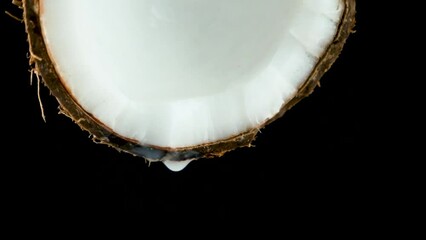 Wall Mural - Coconut water juice dripping from half of a coconut on black background slow motion.