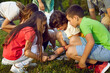 © Studio Romantic - Children exploring wonders of nature. Group of happy elementary school kids who are learning about environment and doing research project together go to the park and study insects in the green grass