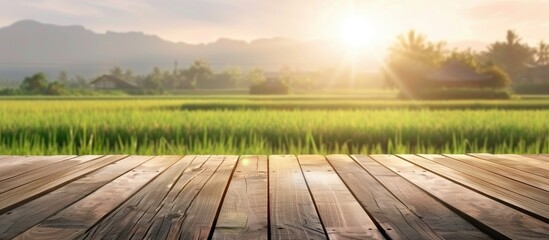 Wall Mural - A wooden deck is in the foreground with a rice field in the background, surrounded by a natural landscape of water, grass, and trees