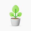 3d green plant icon. Realistic 3d render flower, plant with leaves in pot icon. 3d glossy plastic plant. Vector illustration.