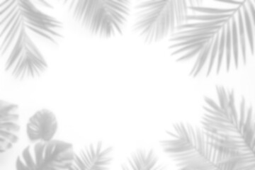 Sticker - palm leaf shadow overlay effect transparent background, tropical leaves shadows 3d rendering png file