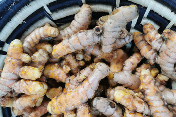 Canvas Print - curcuma root background