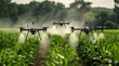 Drones sprinkling water on crops in the field