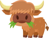 Fototapeta Dinusie - Cute Highland Cow Animal Cartoon Character Eating A Grass. Vector Illustration Flat Design Isolated On Transparent Background