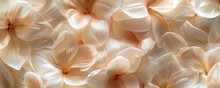 Seamless Background Of Delicate Ivory Petals In Full Bloom