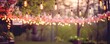 blurry garden wedding background decorated with fairy lights in summer