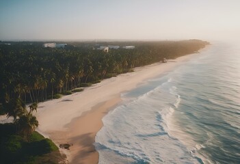 Wall Mural - Ocean beside palm trees, sand, and buildings in a tropical setting