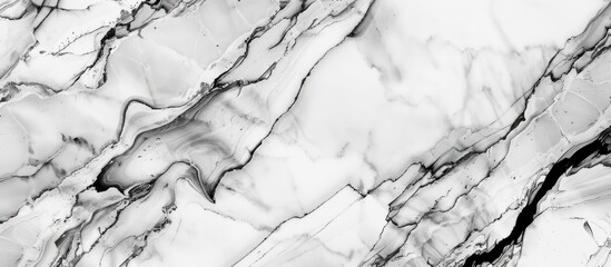 Wall Mural - A closeup of a black and white marble texture resembling a snowy landscape. The pattern is reminiscent of monochrome photography, with a freezing, monochrome feel