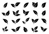 Fototapeta  - black plants leaves, letter v, set icons