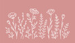 Botanical wildflowers pattern with meadow flowers