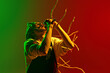 Dynamic image of artistic, soulful young man with dreadlocks, musician singing solo against gradient red green background in neon light. Concept of music, performance, festival, concert
