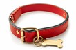 Red collar and gold tag for dog isolated on white
