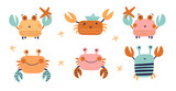 Fototapeta Dinusie - Set  with  crabs and starfish. Vector