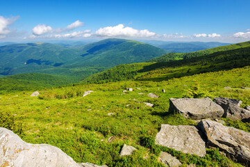 Wall Mural - green alpine hills and meadow of carpathians. stones among the grass beneath a sky with clouds. summ