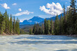 Athabasca river landscape during rafting excursion, Jasper national Park, Canada.