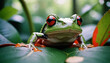  Tree frog, flying frog laughing. generative ai