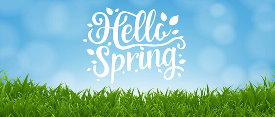 Wall Mural - Hello Spring Banner With Grass