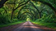 stunning streets lined with ancient live oaks draped in moss