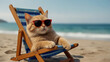 © Shahadat - cat on the beach chilling summer vacation, AI Generative