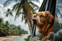 Golden Retriever Enjoying A Car Ride By The Beach. Generative AI Image