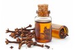 Clear bottle of clove oil with dried cloves on white