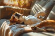 Slumbering Serenity: A Beagle's Peaceful Afternoon Nap Illuminated - Generative AI