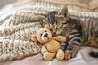 Adorable kitten curled up with bear toy